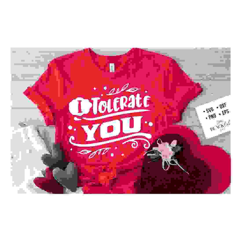 2410202317322-i-tolerate-you-svg-anti-valentines-day-svg-funny-image-1.jpg