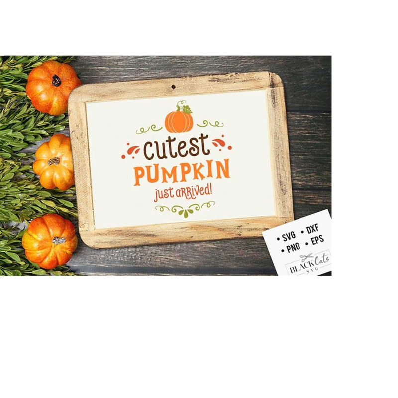 24102023172538-cutest-pumpkin-just-arrived-svg-autumn-svg-fall-svg-autumn-image-1.jpg