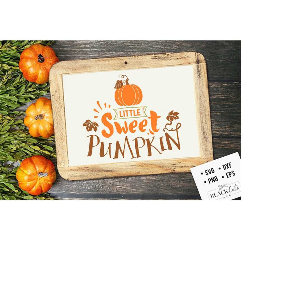 24102023172951-sweet-little-pumpkin-svg-little-pumpkin-svg-autumn-svg-fall-image-1.jpg