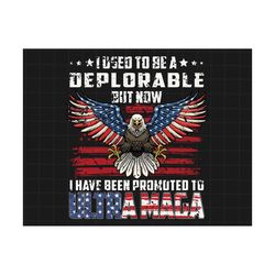 i used to be a deplorable png, trump 2024 png, trump biden american flag, awakened patriot png, american eagle png, make america great again
