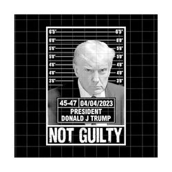 not guilty png, trump mug shot png, trump never surrender png,  mugshot png, official trump mugshot, sublimation png, digital download