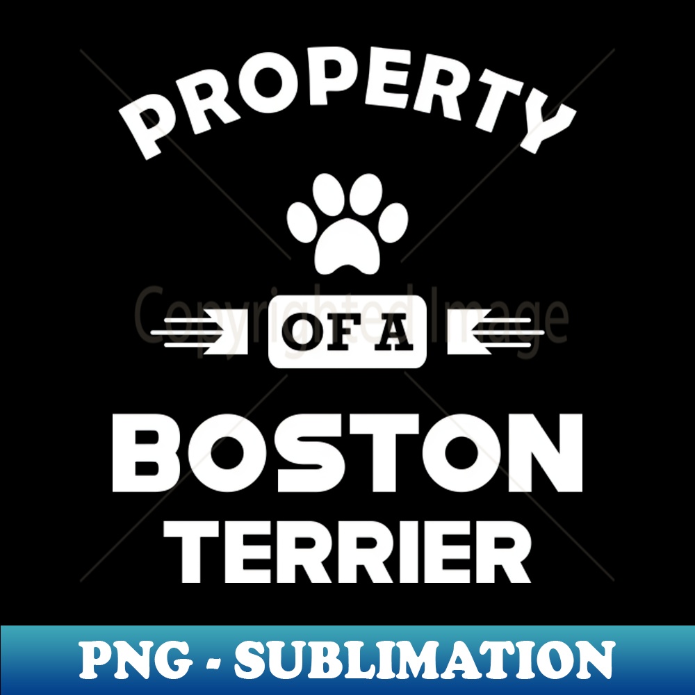 AK-20231024-1588_Boston Terrier Dog - Property of a boston terrier 6903.jpg