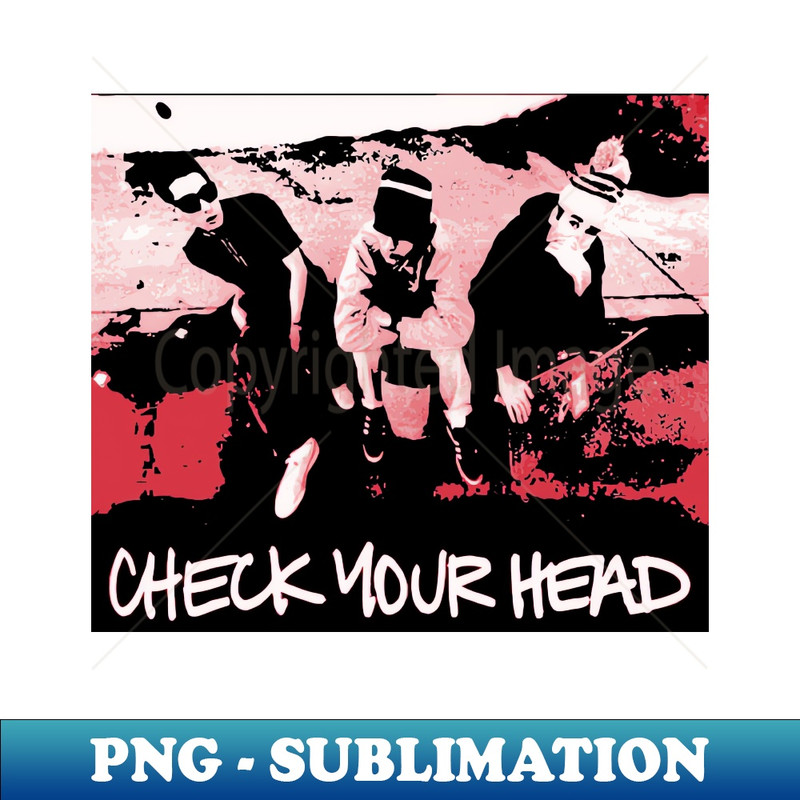 AK-20231024-2000_check your head beastie boys 4264.jpg