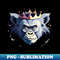 DD-20231024-5756_King Gorilla 2442.jpg