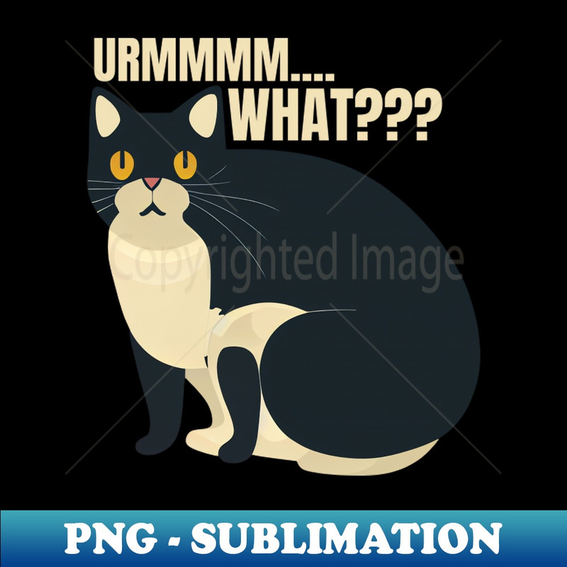 DW-20231024-10590_Urmm What Cat 2090.jpg