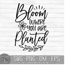Bloom Where You Are Planted - Instant Digital Download - svg, png, dxf, and eps files included! Hello Spring, Farmhouse