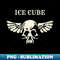 EJ-20231024-4641_ice cube 1984.jpg