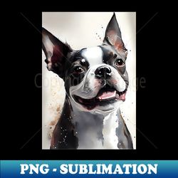 black and white boston terrier - aesthetic sublimation digital file - perfect for creative projects