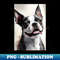 FR-20231024-935_Black and White Boston Terrier 3330.jpg