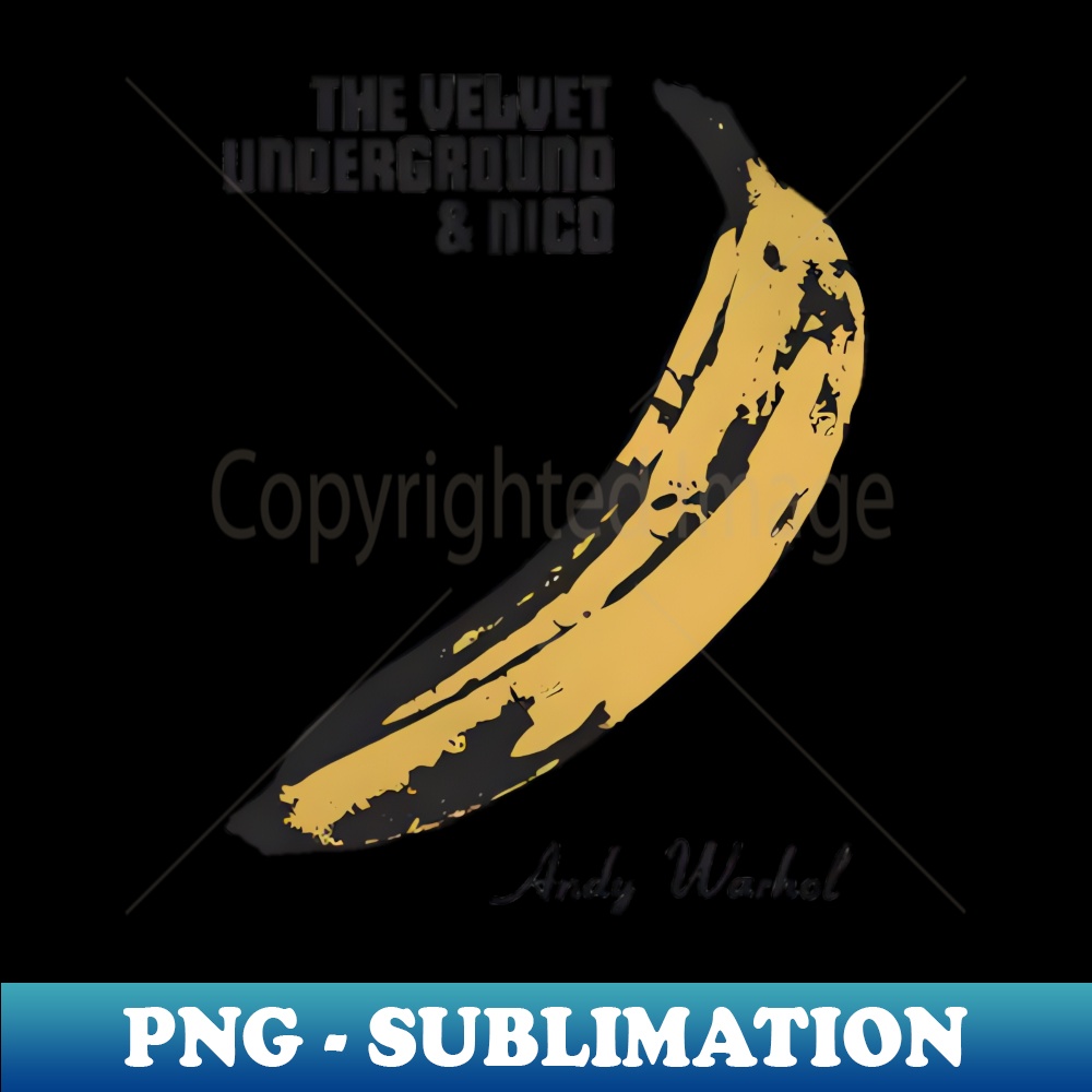 FY-20231024-11032_Vintage the Velvet underground 2091.jpg