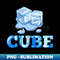 GQ-20231024-4726_Ice cubes t-shirt 2642.jpg