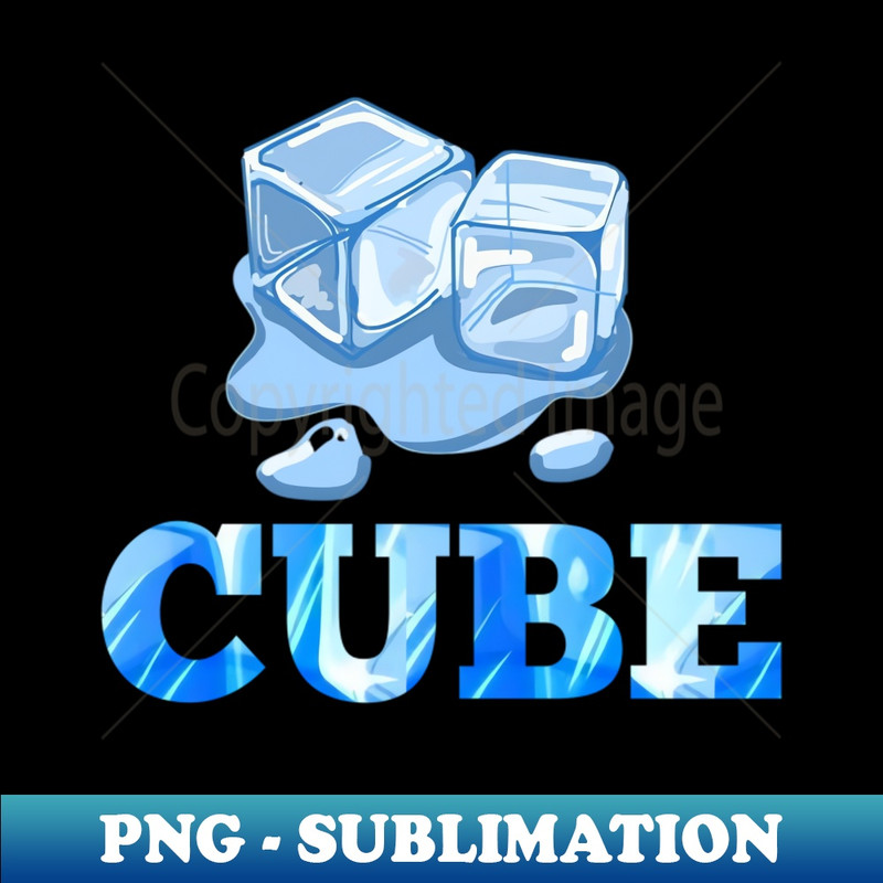 GQ-20231024-4726_Ice cubes t-shirt 2642.jpg