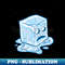 GY-20231024-6621_Melting Ice Cube 8655.jpg