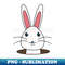 IS-20231024-2333_Cute White Rabbit Peeking Out Of Hole 2795.jpg