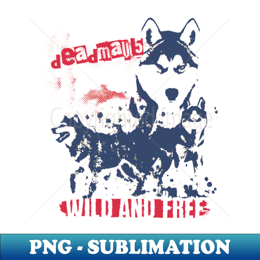 JY-20231024-2660_deadmauwild 7665.jpg