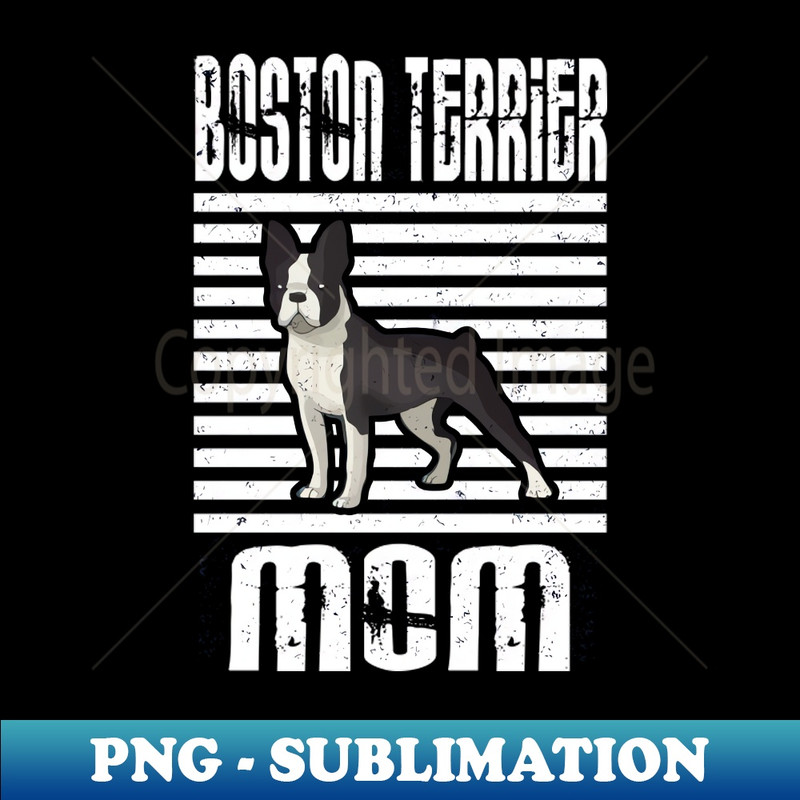 MF-20231024-1614_Boston Terrier Mom Proud Dogs 8419.jpg