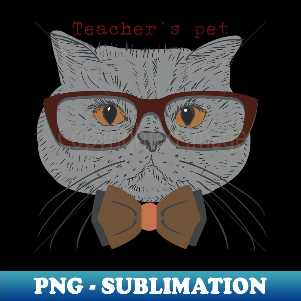 MJ-20231024-9238_Teachers pet Cat tee-shirt 8339.jpg