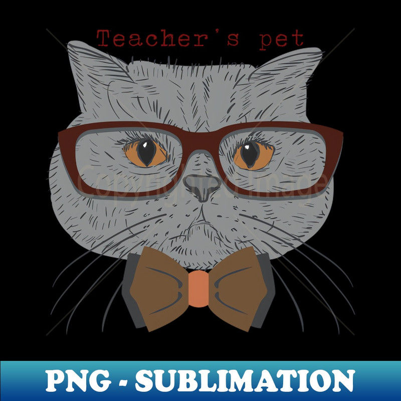 MJ-20231024-9238_Teachers pet Cat tee-shirt 8339.jpg
