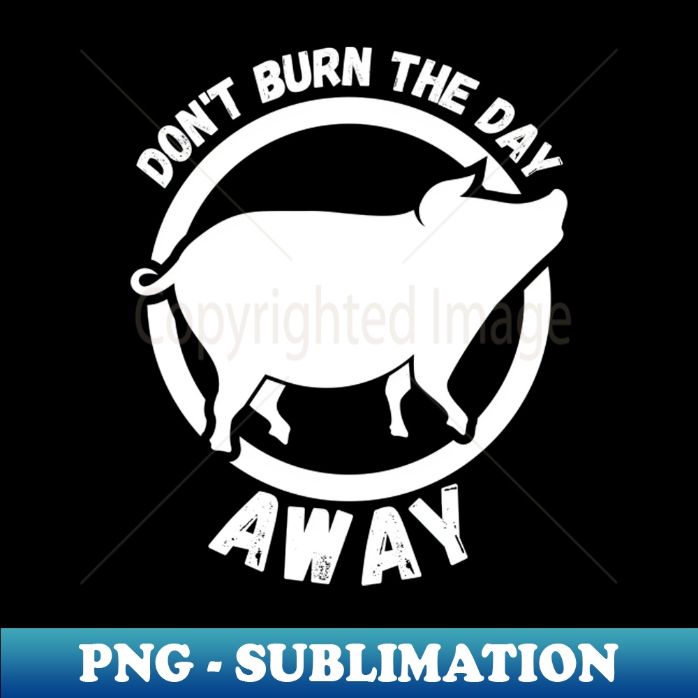 MK-20231024-2983_Dont Burn The Day Dave Matthews Band 8046.jpg
