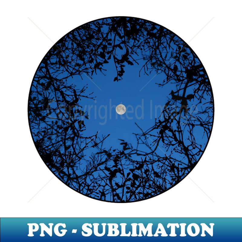 NG-20231024-6863_Moon circle 7022.jpg