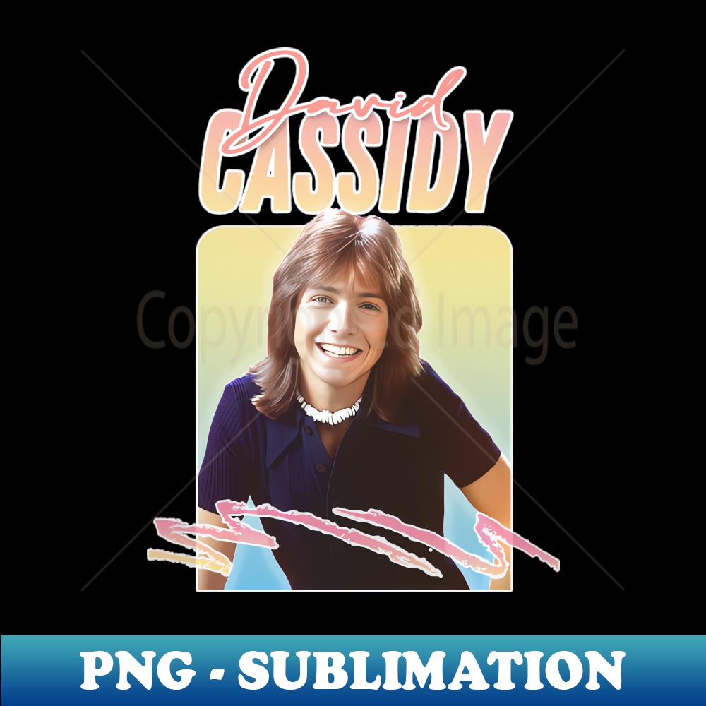 NK-20231024-2552_David Cassidy Retro 1970s Aesthetic 7383.jpg