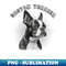 NK-20231024-273_Adorable Boston terrier 9930.jpg