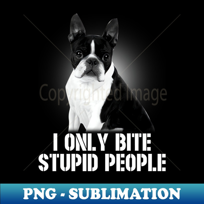 NP-20231024-4581_I Only Bite Stupid People Boston Terrier 3839.jpg