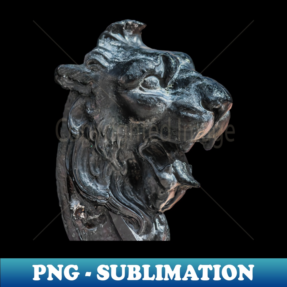 NP-20231024-4971_Iron of the Tiger Right 7482.jpg