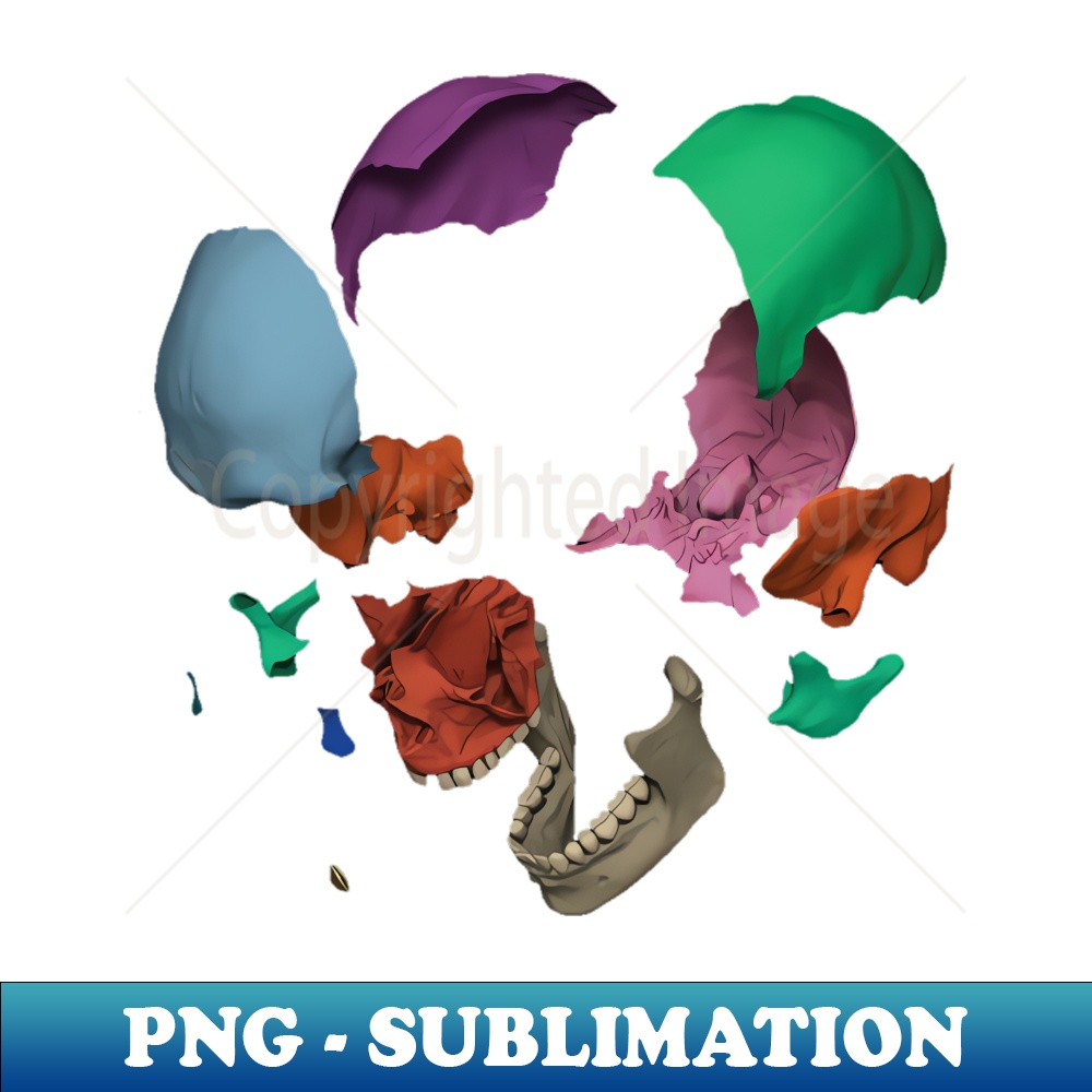 NX-20231024-2434_Damon Albarn Everyday Robots 5631.jpg