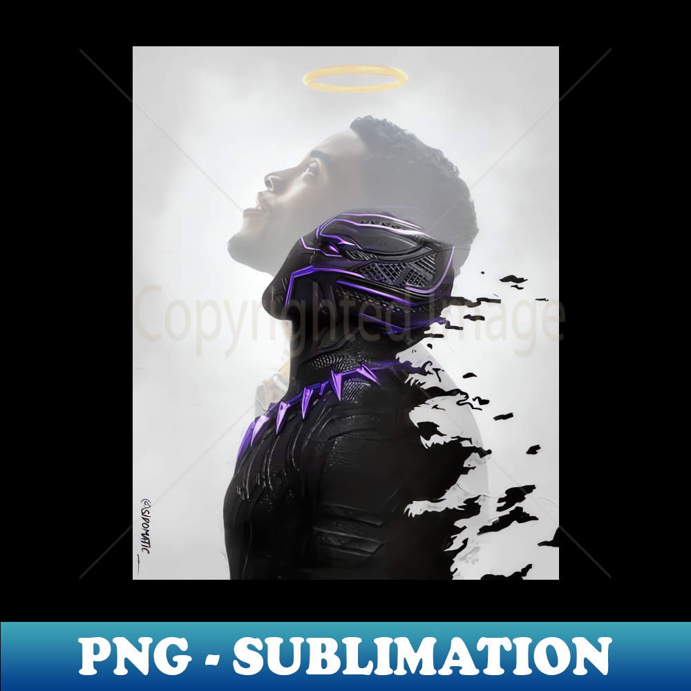 PZ-20231024-1000_Black panther tribute 1863.jpg