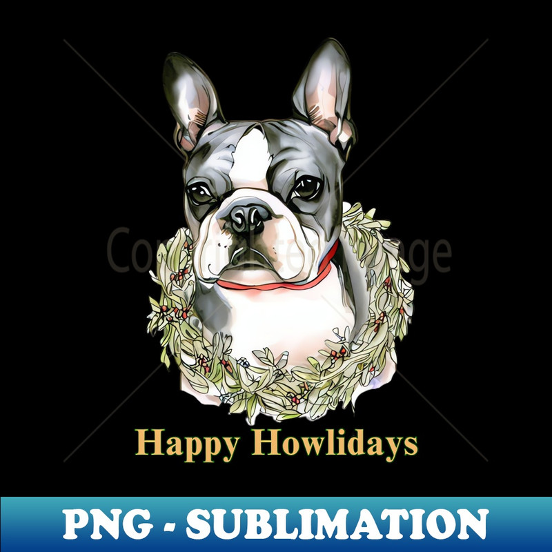 QE-20231024-4239_Happy Howlidays Boston Terrier 2138.jpg