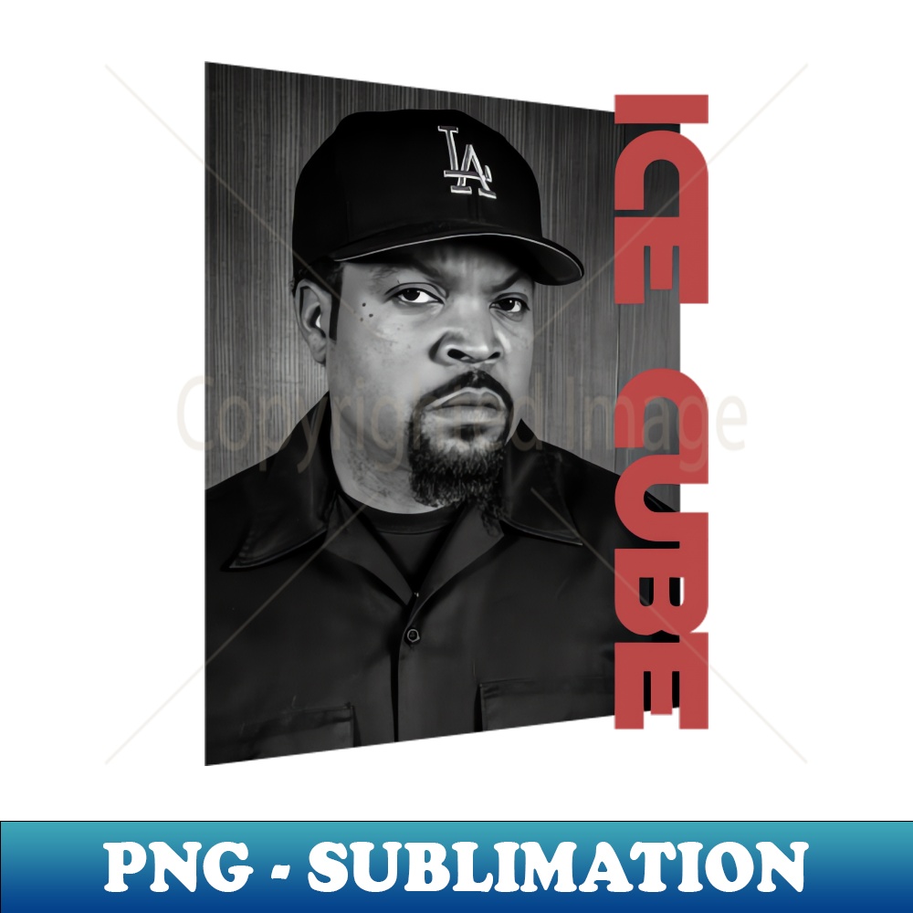 QV-20231024-4709_ice cube vintage - monochrome style 5329.jpg