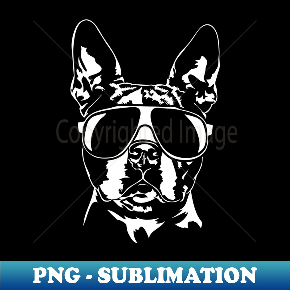 QW-20231024-3616_Funny Boston Terrier sunglasses cool dog 9030.jpg