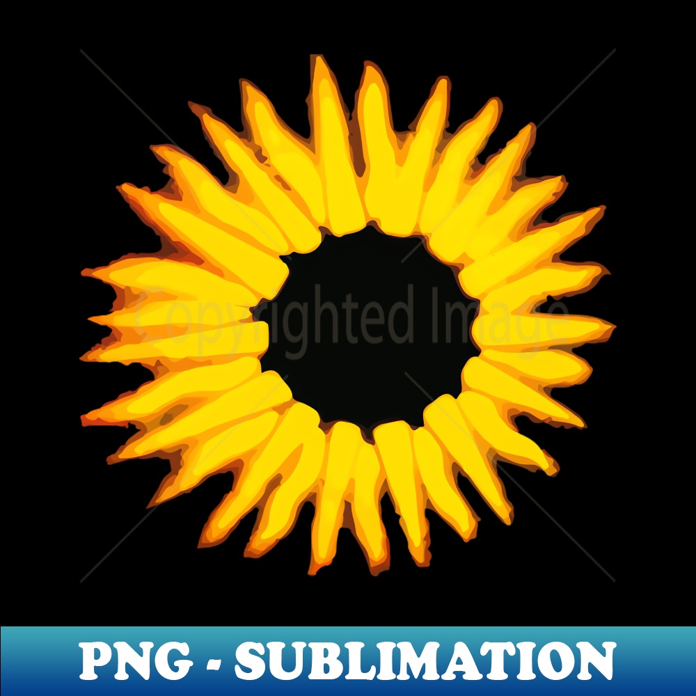 XI-20231024-8566_Soundgarden - Black Hole Sun 7125.jpg