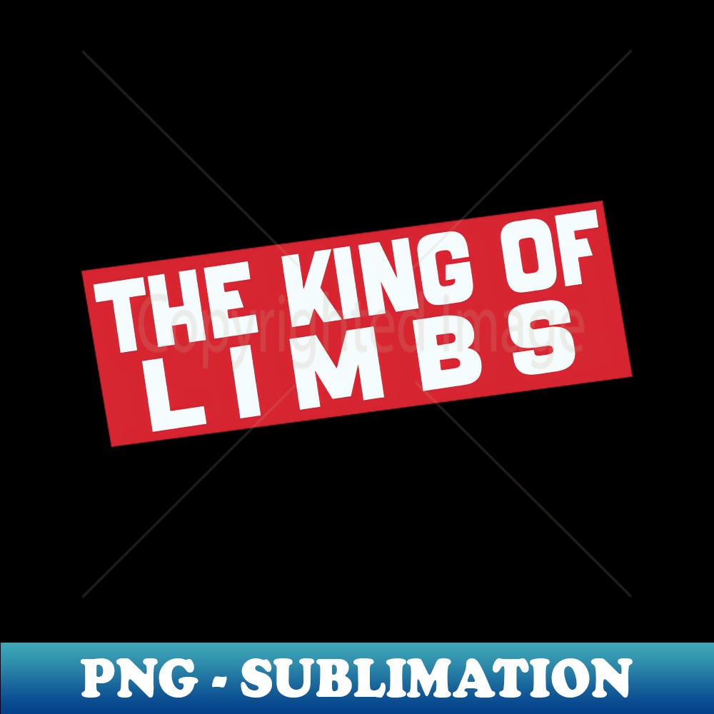YR-20231024-9712_THE KING OF LIMBS radiohead 4251.jpg
