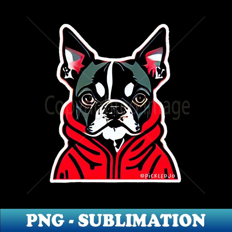 ZJ-20231024-3582_French Bulldog in a red hoodie 9093.jpg