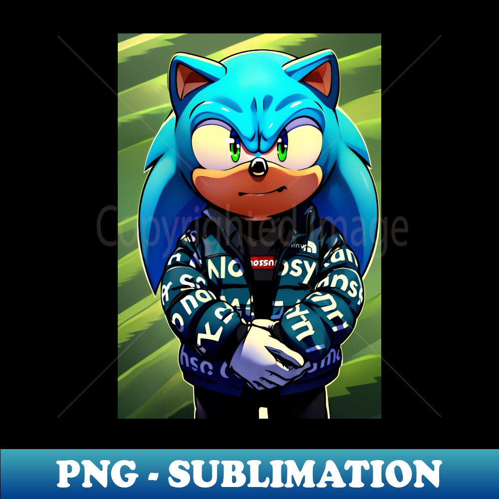 ZO-20231024-8517_sonic 7337.jpg