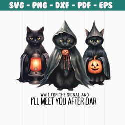 wait for the signal and i will meet you after dark png file