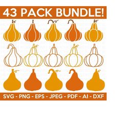 gourd svg bundle, pumpkin svg, pumpkin vector, halloween svg, pumpkin shirt svg,fall clipart,autumn clipart, cut file fo