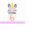 MR-2510202381759-custom-order-vivian-sixth-unicorn-birthday-svg-6th-birthday-image-1.jpg