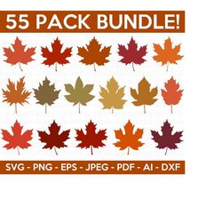 fall leaves svg bundle, fall  cliparts svg bundle, maple leaf svg, autumn svg, fall leaf svg, autumn bundle svg, cricut,