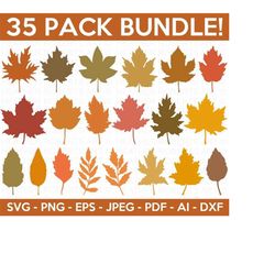 fall leaves svg bundle, fall cliparts svg bundle, maple leaf svg, autumn svg, fall leaf svg, autumn bundle svg, cricut,