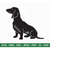 MR-2510202383136-dachshund-dog-svg-dog-silhouette-svg-playful-dog-svg-dog-image-1.jpg