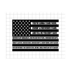 funny 4th of july svg, distressed american flag svg, american svg, patriotic svg, fourth of july, fireworks, independence day svg