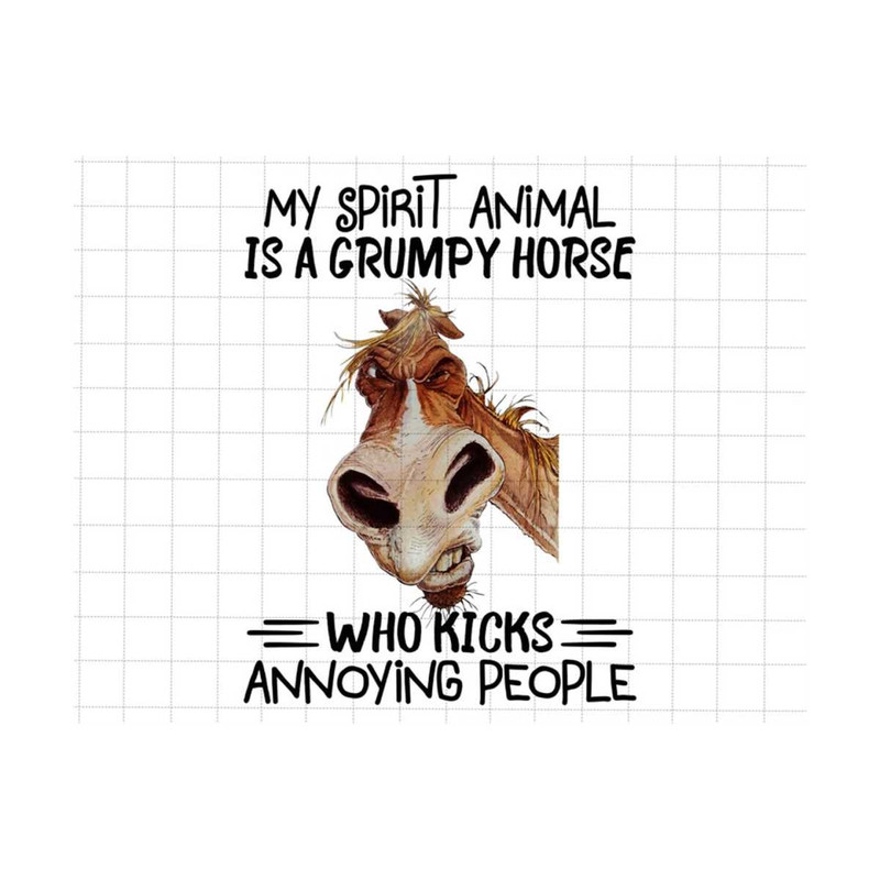 2510202385036-my-spirit-animal-is-a-grumpy-horse-who-kicks-annoying-people-image-1.jpg