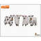 MR-2510202391139-cow-ghost-embroidery-designs-ghost-cow-embroidery-design-image-1.jpg