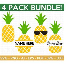 pineapple svg bundle, pineapple shirt svg, pineapple monograms, split frame monograms, summer svg,  cut file cricut