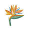 MR-25102023123116-bird-of-paradise-machine-embroidery-file-image-1.jpg