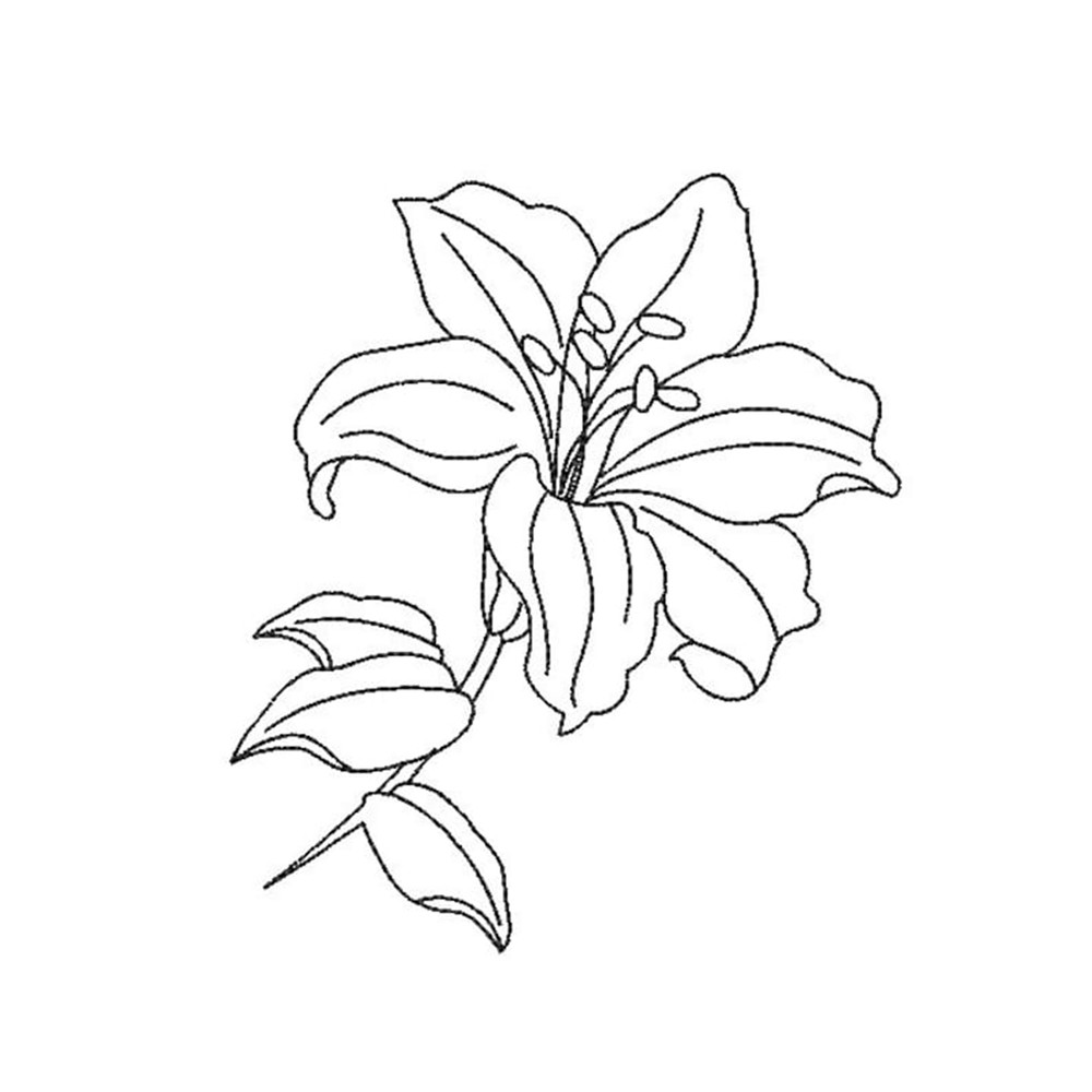 MR-25102023123910-lily-flower-one-line-machine-embroidery-design-image-1.jpg