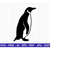 MR-2510202313363-penguin-svg-penguins-penguin-lover-north-pole-svg-bird-image-1.jpg